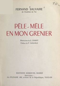 Pêle-mêle en mon grenier