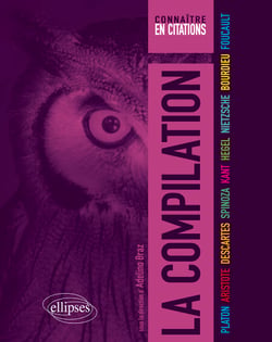 La compilation - Platon, Aristote, Descartes, Spinoza, Kant, Hegel, Nietzsche, Bourdieu, Foucault