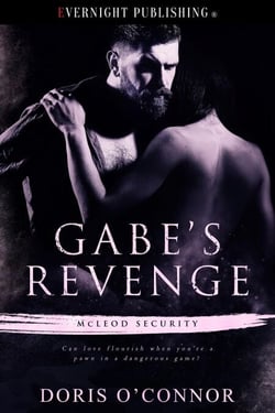Gabe's Revenge - McLeod Security, #2