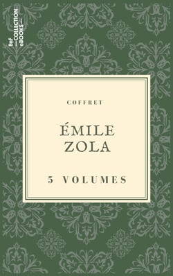Coffret Émile Zola - 5 textes issus des collections de la BnF