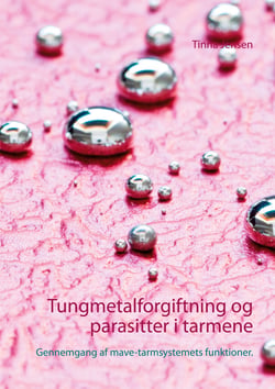 Tungmetalforgiftning og parasitter i tarmene - Gennemgang af mave-tarmsystemets funktioner.
