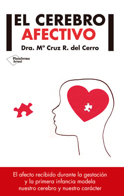 El cerebro afectivo - El afecto recibido durante la gestión y la primera infancia modela nuestro cerebro y nuestro carácter