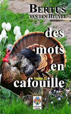Des mots en cafouille II - histoires courtes