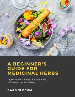 A Beginner's Guide for Medicinal Herbs: Improve Well Being, Reduce Pain, Inflammation &amp; Anxiety