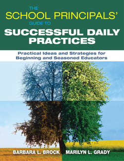 The School Principals' Guide to Successful Daily Practices - Practical Ideas and Strategies for Beginning and Seasoned Educators