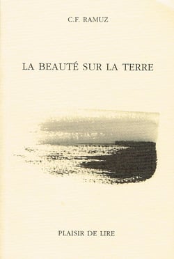 La beauté sur la Terre - Un roman tragique