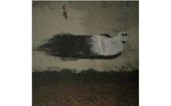 The Ghost