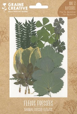 Lot de 21 fleurs pressées naturelles Graine créative