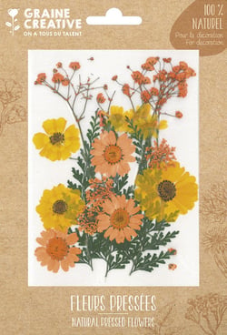 Lot de 18 fleurs pressées naturelles Graine créative - Prairie - Jaune