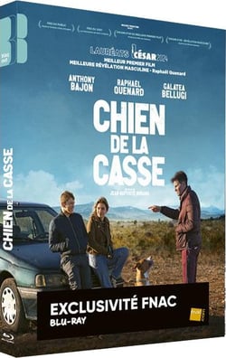 Chien de la casse