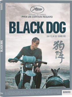 Black Dog