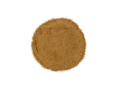Santal blanc d'Australie