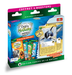 Coffret Orque et Requin (4 x Boosters + 2 cartes Totems) - Bioviva