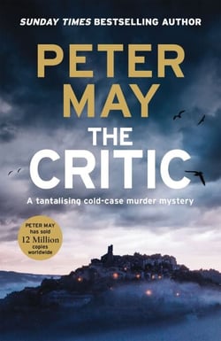 The Critic - A tantalising cold-case murder mystery (The Enzo Files Book 2)