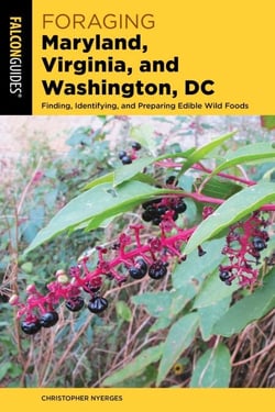 Foraging Maryland, Virginia, and Washington, DC - Finding, Identifying, and Preparing Edible Wild Foods