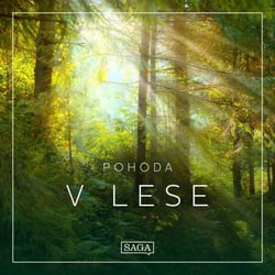 Pohoda – V lese