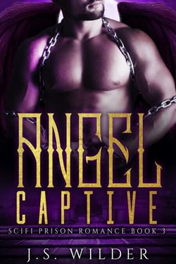 Angel Captive - SciFi Prison Romance, #3