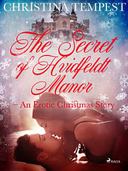 The Secret of Hvidfeldt Manor - An Erotic Christmas Story