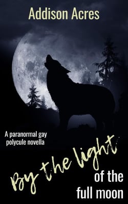 By The Light Of The Full Moon