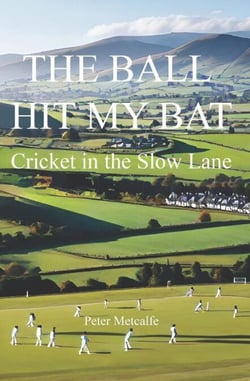 The Ball Hit My Bat
