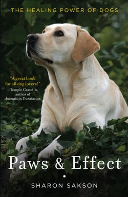 Paws &amp; Effect - The Healing Power of Dogs