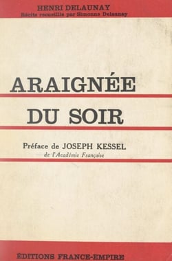 Araignée du soir