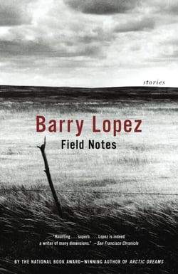 Field Notes - The Grace Note of the Canyon Wren