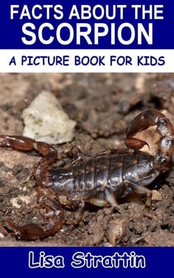 Facts About the Scorpion - A Picture Book for Kids, #215