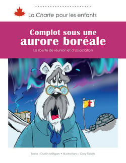 Complot sous une aurore boréale - La liberté de réunion et d’association
