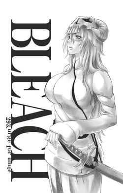 Bleach - T33 - Chapitre 293 - urge for unite