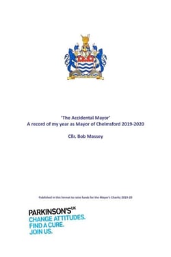 The Accidental Mayor