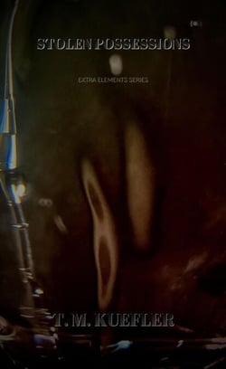 Stolen Possessions - Extra Elements Series, #26