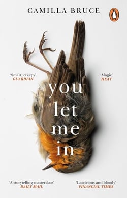 You Let Me In - The acclaimed, unsettling novel of haunted love, revenge and the nature of truth