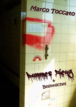 Dummes Zeug &amp; Besinnliches - Kurzgeschichten und "Dachbodenfunde"