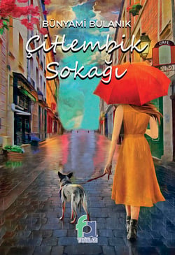 Citlenbik Sokagi