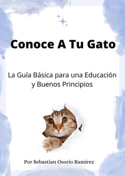 Conoce A Tu Gato - La Guía Básica para una Educación y Buenos Principios