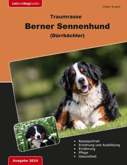 Traumrasse Berner Sennenhund - (Dürrbächler)