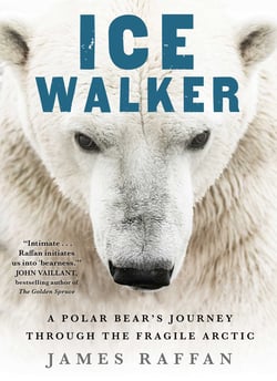 Ice Walker - A Polar Bear's Journey through the Fragile Arctic
