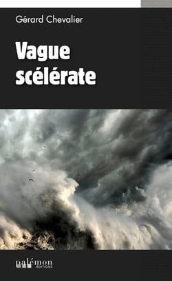 Vague scélérate - Un thriller d'espionnage sur l'île d'Ouessant