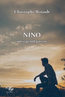 Nino, un si gentil garçon - Un roman young adult