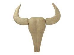 Trophée tête de bufle - h52cm
