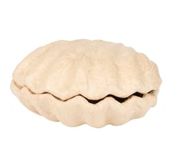 Décopatch Boîte coquillage 12x12x5cm - bt078c