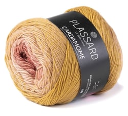 Pelote de fil à tricoter - Plassard - Cardamone - Anis 72