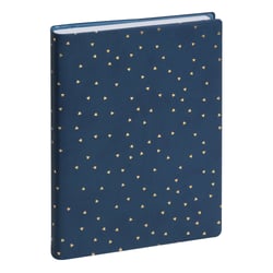 Agenda scolaire journalier 2024/2025 Exacompta - Bleu - 12 x 17 cm - Forum Méline