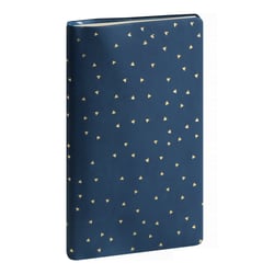 Agenda semainier 16 mois 2025/2026 Exacompta - Bleu - 9 x 16 cm - Méline
