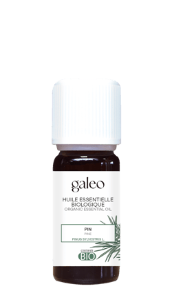 Pin - Huile essentielle bio AB - Galeo