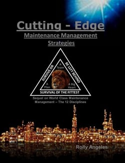 Cutting Edge Maintenance Management Strategies: Sequel to World Class Maintenance Management, The 12 Disciplines - 1, #4