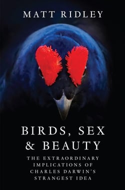 Birds, Sex and Beauty - The Extraordinary Implications of Charles Darwin's Strangest Idea