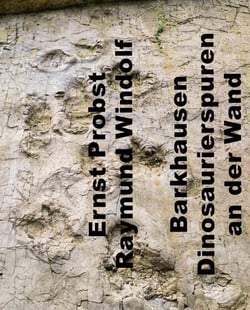 Barkhausen. Dinosaurierspuren an der Wand