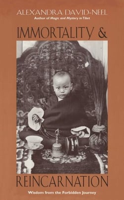 Immortality and Reincarnation - Wisdom from the Forbidden Journey